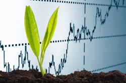 Organic SEO Experts