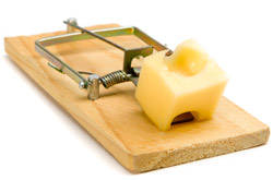 SEO Content for Link Baiting